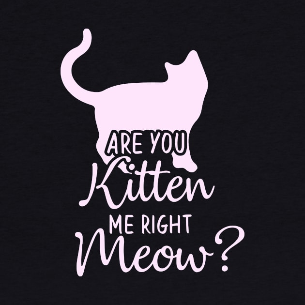 Funny Cat Phrase, Are You Kitten Me Meow by Monday Cattitude